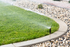 Our lawn sprinkler company can answer your February sprinkler maintenance questions.