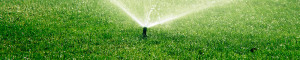 June Sprinkler System Tips