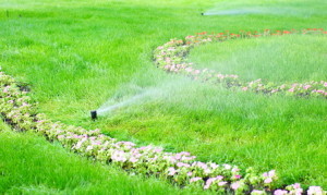 sprinkler water on the green grass lawn