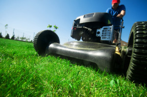 By following our October sprinkler tips you can prevent costly Dallas sprinkler repairs.